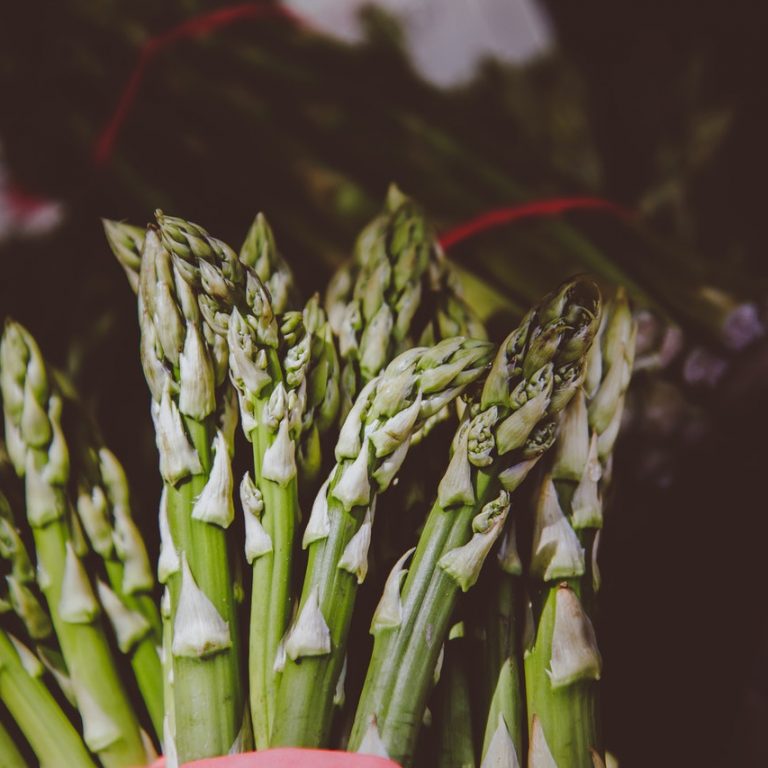 Aspergesaus Aspergesaus