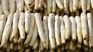 Verse witte asperges netjes opgestapeld, klaar voor gebruik in een georganiseerde kookroutine.
